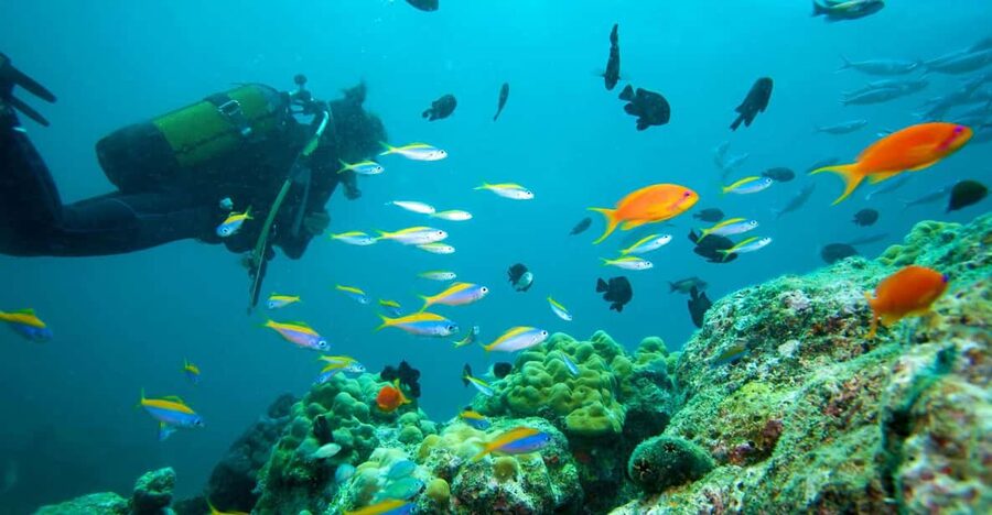 Marmaris: Scuba Diving with a Qualified Instructor - Qualified instruction, with one important caveat