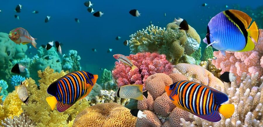 Marmaris: Scuba Diving with a Qualified Instructor - The boat day and what it feels like