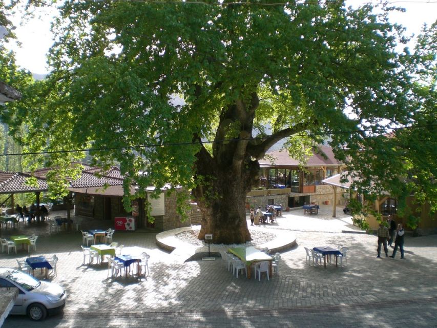 Marmaris Village Tour, Turgut Waterfalls and Mermaid Sand - Who will enjoy this countryside tour?