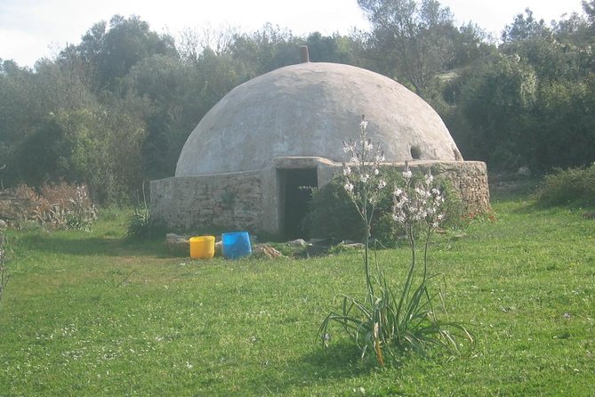 Private Bodrum Village Tour + 1 Glass Free Local Wine - A Turkish lunch served at village pace