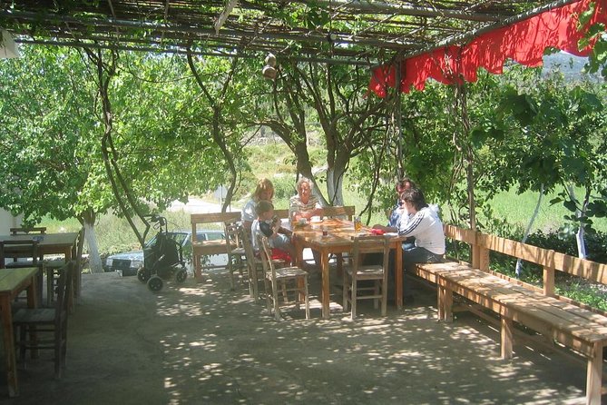 Private Bodrum Village Tour + 1 Glass Free Local Wine - Walking through a village of about 400 people