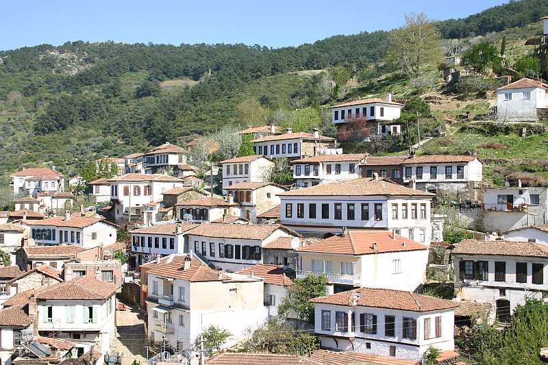 Private Ephesus, Terrace Houses & Sirince Village Tour - A private ride from Kusadasi or Izmir
