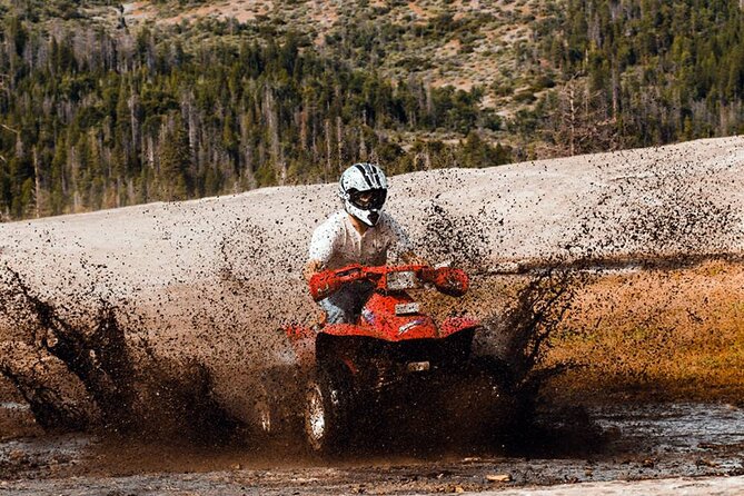 Quad Safari Experience in Alanya (Adventure Tour) w/ Free Hotel Transfer - What is included, and what is not