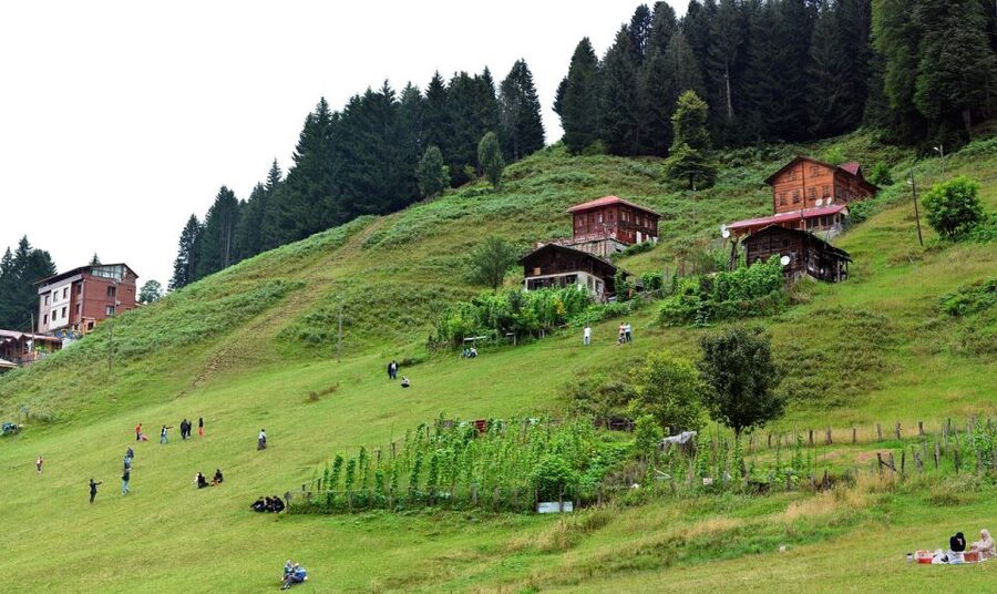 Rize: Ayder Tour & Kaçkar Mountaıns & Fırtına Valley - Key points to know before you book