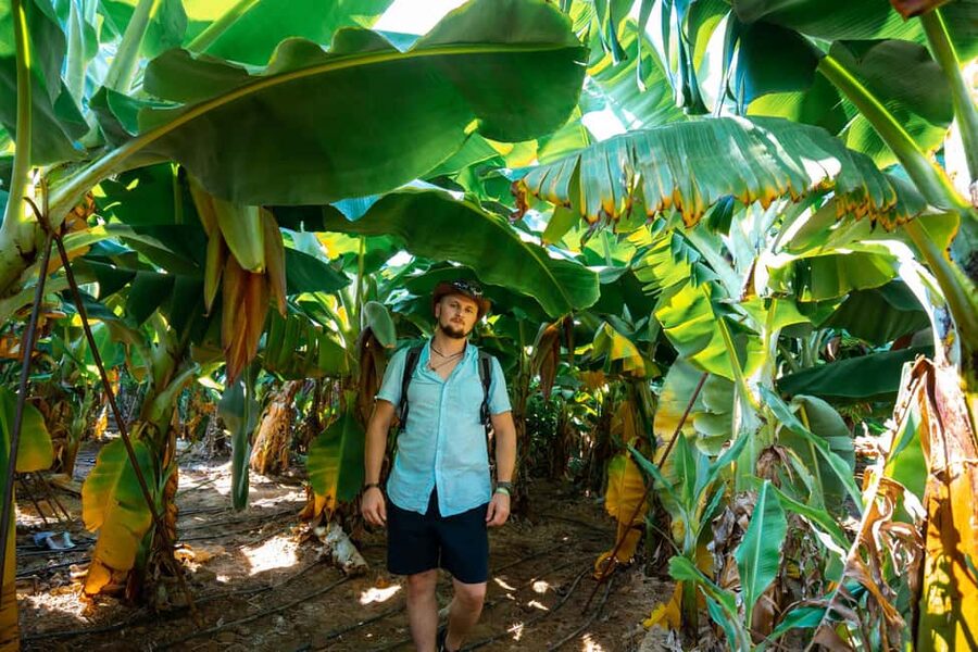 Sapadere Tour with Dimçay Lunch, Cave, Tropical Fruit Garden - Guides, language and the feel of the day