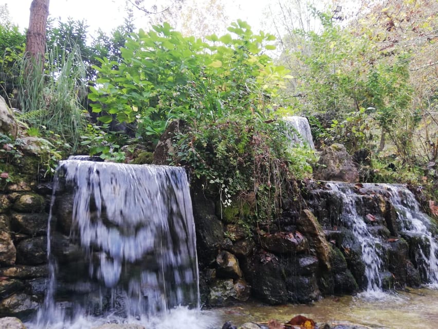 Sapanca & Masukiye Full-Day Tour with Lunch and Transfers - Maşukiye village and its small-market charm