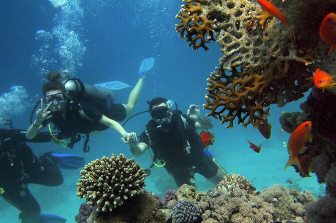 Scuba Diving Experience in Alanya With Lunch and 2 Dives - Training for first-time scuba participants