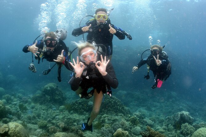 Scuba Diving in Antalya from Antalya & Kemer - What is included, and what costs extra