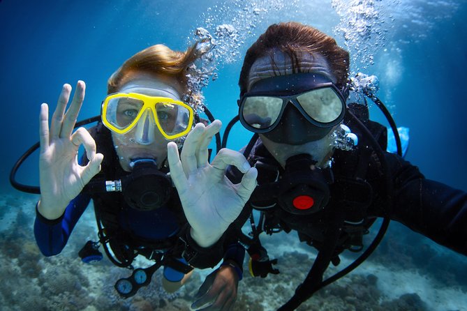 Scuba Diving Tour in Bodrum - What your Bodrum boat day is really like