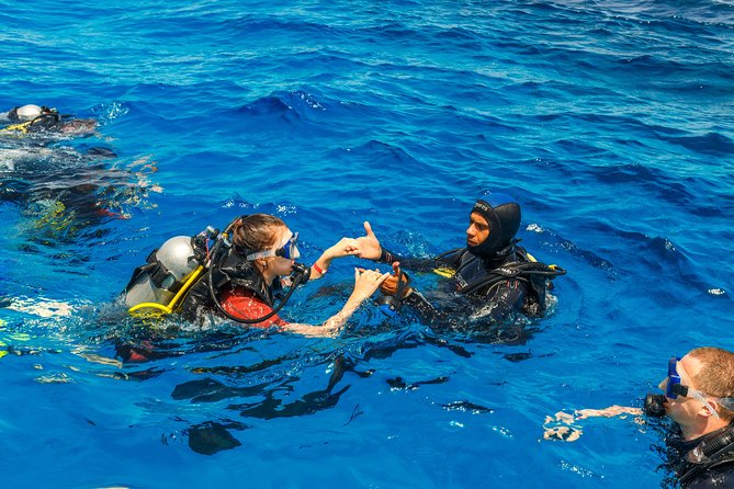 Scuba Diving Tour in Bodrum - How the underwater turns are organized