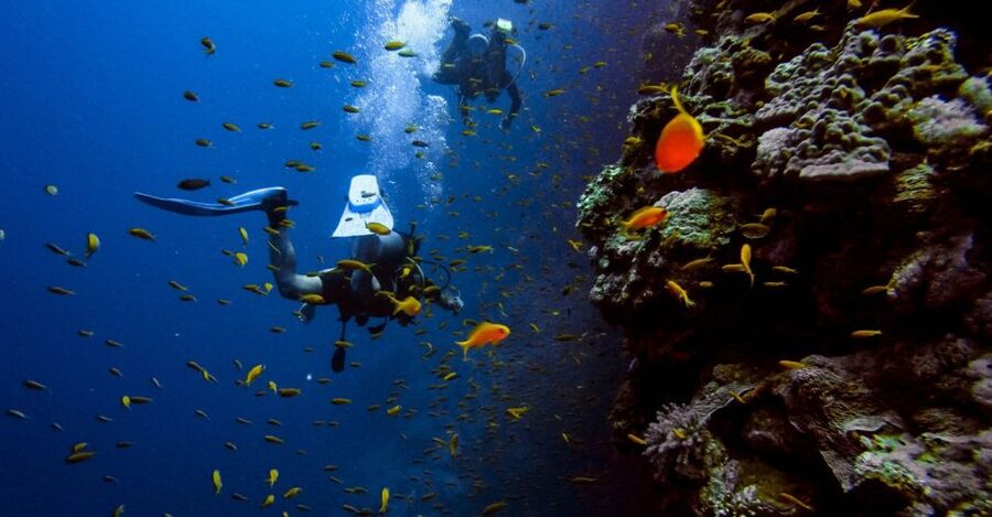 Scuba Diving Tour with Transfer From Alanya and city of Side - The crew and how much support you receive