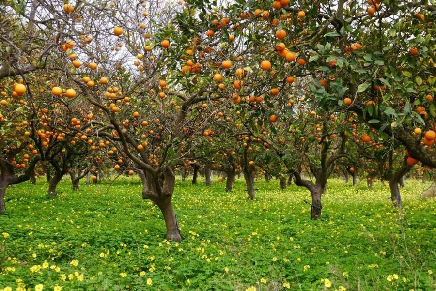 Side:Green Lake Mix Tour - A Day of Nature History & Culture - What this Side day trip really offers