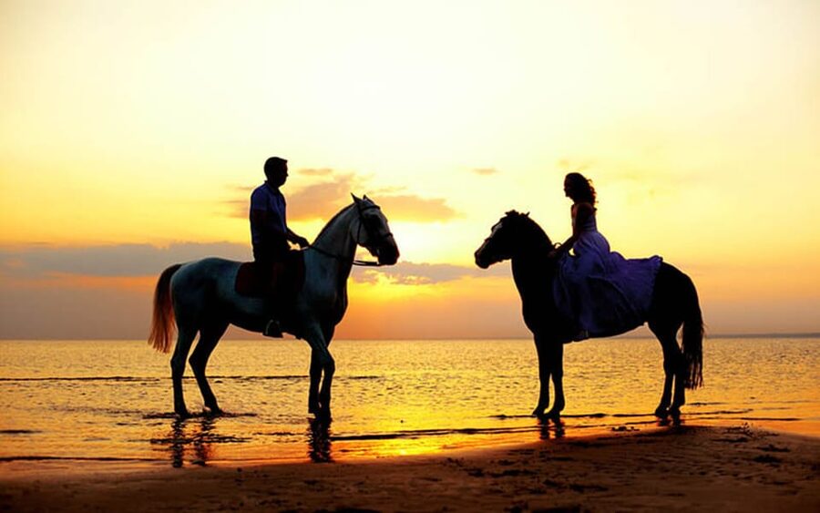 Side: Horseback Riding Tour in Nature - Key points to know before booking