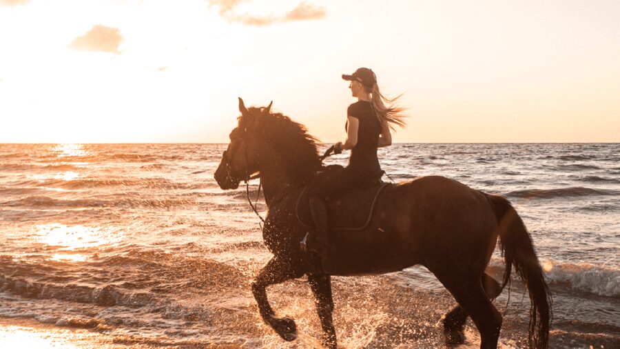 Side: Horseback Riding Tour in Nature - Basic lessons for first-time riders