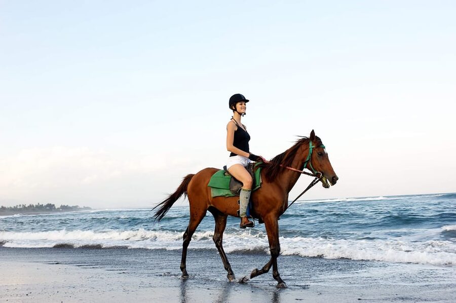 Side: Horseback Riding Tour in Nature - Helmets, boots, and horse care