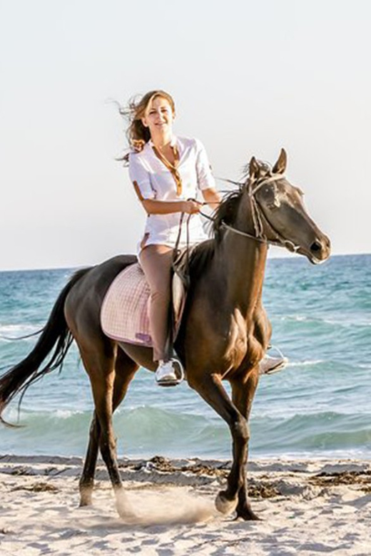 Side: Horseback Riding Tour in Nature - Is $58 a fair price?