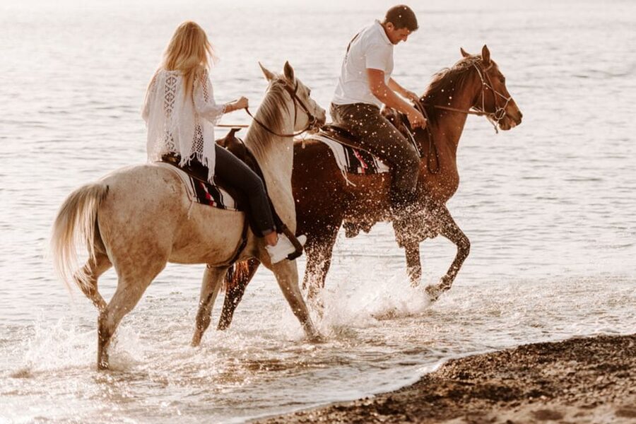 Side: Horseback Riding Tour in Nature - Who will enjoy this ride most?
