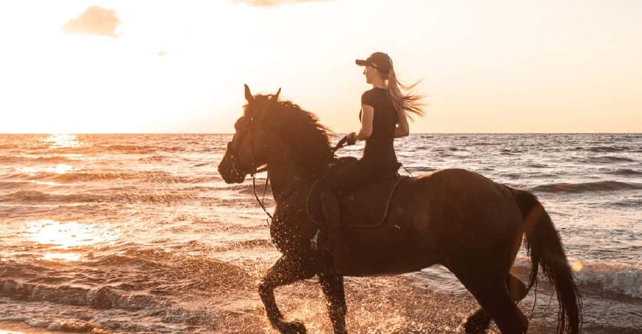 Side: Horseback Riding Tour in Nature - What the two-hour schedule really means