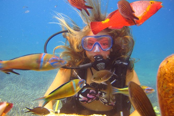 Side: Scuba Diving Under Water Museum - What the seven-hour day looks like