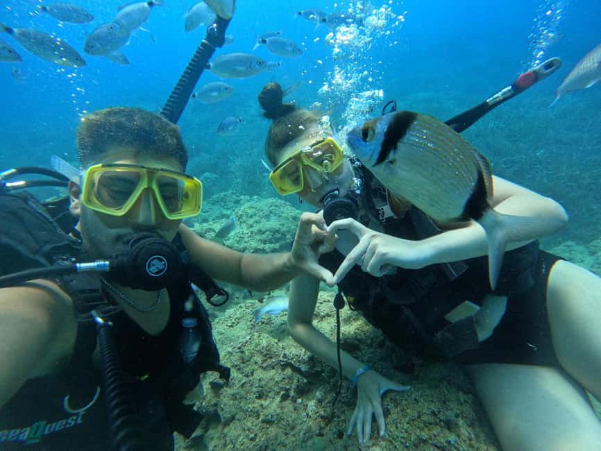 Side: Scuba Diving & Under Water Museum with Hotel Transfer - Lunch, snorkeling, and time on the boat