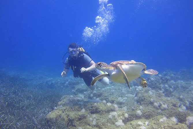 Side: Scuba Diving Under Water Museum - First session: getting comfortable below the surface