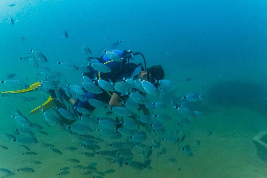 Side: Scuba Diving, Underwater Museum, 2 Dives incl. Lunch - A second session, then open swimming time