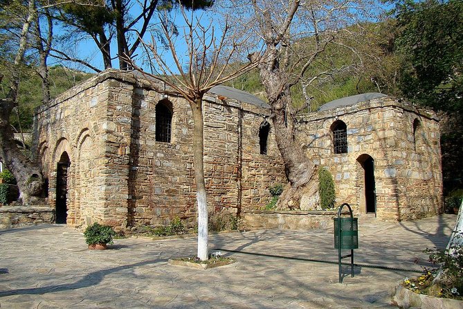 SKIP-THE-LINE: Group or Private Ephesus & Artemis Tour with LUNCH - The marble streets and grand buildings of Ephesus