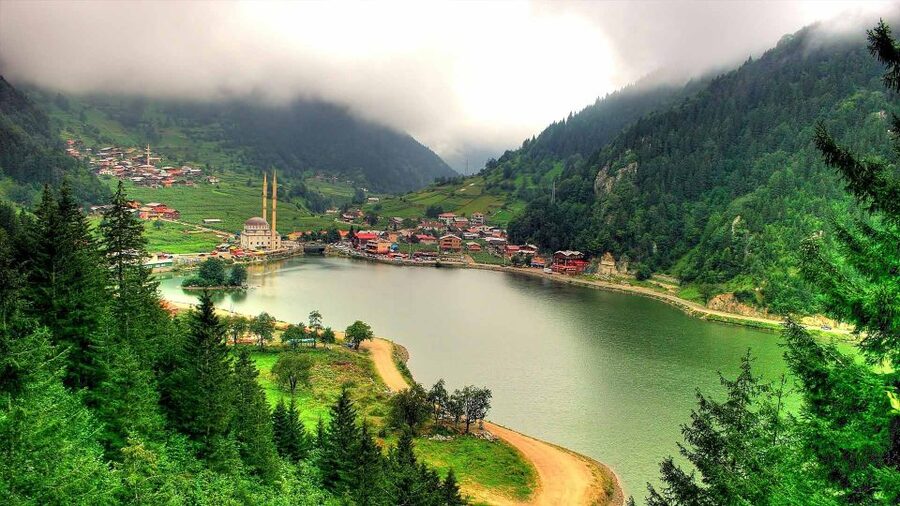Trabzon: Uzungöl Group Tour, Explore The Nature & Taste Tea - Turkish delight, honey, and the sweet stop
